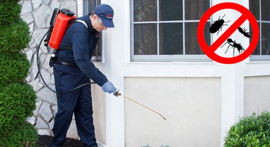 Kocaeli Karınca İlaçlama böcek ilaçlama ve haşere kontrolü — ilaclama-tr.com